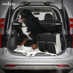 Hondentrap Auto Voor Grote En Kleine Honden PRIORPET - Oplichtende Markering - Opvouwbare Autotrap Voor Stijve Gewrichten - Hondenloopplank Geschikt Voor Alle Auto's - Antislip - 4 Treden -Dieren Product Winkel 1200x1200 2272