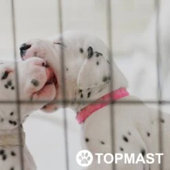 Topmast Puppyren Uitvouwbaar - Zwart - 560 Cm Omtrek - 76 Cm Hoog - Opvouwbaar - Expandable XL - Hondenren 7 Topmast Puppyren Uitvouwbaar - Zwart - 560 Cm Omtrek - 76 Cm Hoog - Opvouwbaar - Expandable XL - Hondenren -Dieren Product Winkel 1200x1200 2341