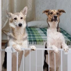 Nobleza 47B4V - Hondenhek - Metaal - H76 X L75-82 Cm - Wit -Dieren Product Winkel 1200x1200 2373