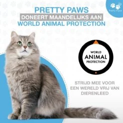 Pretty Paws PP002 Professionele Automatische Voerbak Kat- Stemrecorder - Voerautomaat - Katten Voerbak - Minimalistisch -Dieren Product Winkel 1200x1200 239