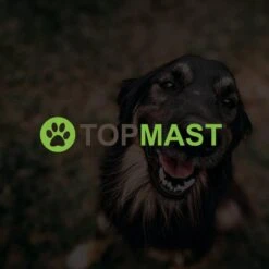 Merkloos Topmast Premium Puppyren - 120 Cm Hoog - 640 Cm Omtrek - Hondenren - Hondenhok - Zwart 9 Merkloos Topmast Premium Puppyren - 120 Cm Hoog - 640 Cm Omtrek - Hondenren - Hondenhok - Zwart -Dieren Product Winkel 1200x1200 2428