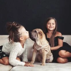 Relaxdays Puppyren - Hondenren - Puppykennel - Konijnenren - Bodem - Metaal - Div. Grootte - M -Dieren Product Winkel 1200x1200 2431