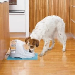 Petsafe Drinkwell Platinum - Drinkfontein - 5 L -Dieren Product Winkel 1200x1200 247