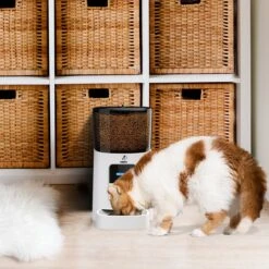 Pawsy® AR1 - Automatische Voerbak – Automatische Voerautomaat - Voerbak Kat En Hond - Wit - 6L - Smart App – Instelbaar Voedingsschema Voor Huisdier – GRATIS Opscheplepel 18 Pawsy® AR1 - Automatische Voerbak – Automatische Voerautomaat - Voerbak Kat En Hond - Wit - 6L - Smart App – Instelbaar Voedingsschema Voor Huisdier – GRATIS Opscheplepel -Dieren Product Winkel 1200x1200 2474