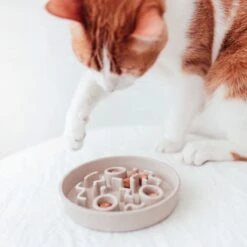 District 70 BAMBOO Slowfeeder - Stijlvolle Anti-schrok Voerbak Voor Katten – Merengue - Ø13 Cm 19 District 70 BAMBOO Slowfeeder - Stijlvolle Anti-schrok Voerbak Voor Katten – Merengue - Ø13 Cm -Dieren Product Winkel 1200x1200 2485