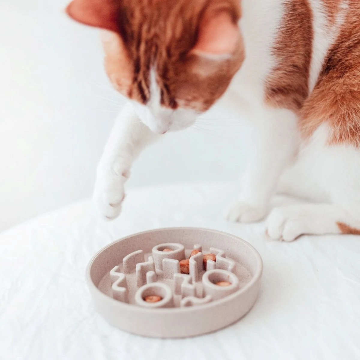 District 70 BAMBOO Slowfeeder - Stijlvolle Anti-schrok Voerbak Voor Katten – Merengue - Ø13 Cm 4 District 70 BAMBOO Slowfeeder - Stijlvolle Anti-schrok Voerbak Voor Katten – Merengue - Ø13 Cm - Afbeelding 4