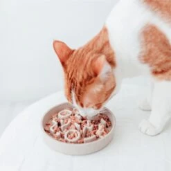 District 70 BAMBOO Slowfeeder - Stijlvolle Anti-schrok Voerbak Voor Katten – Merengue - Ø13 Cm 31 District 70 BAMBOO Slowfeeder - Stijlvolle Anti-schrok Voerbak Voor Katten – Merengue - Ø13 Cm -Dieren Product Winkel 1200x1200 2488