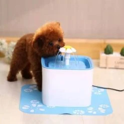 Mowa Drinkfontein - Waterfontein - Waterbak - Drinkbakken - Voor Huisdieren - Katten En Honden - 2,5 Liter - 3 Laags Filter Systeem 7 Mowa Drinkfontein - Waterfontein - Waterbak - Drinkbakken - Voor Huisdieren - Katten En Honden - 2,5 Liter - 3 Laags Filter Systeem -Dieren Product Winkel 1200x1200 2490