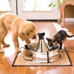 PetSafe Drinkwell 360 -Dieren Product Winkel 1200x1200 2494