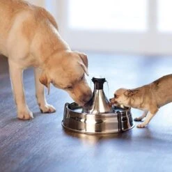 PetSafe Drinkwell 360 -Dieren Product Winkel 1200x1200 2495