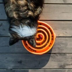 Outward Hound Slo Bowl Fun Feeder Voerbak - Anti Schrok Voerbak - Voerbak Slo-Bowl Mini Drop Teal Lichtblauw - 22X22X5 CM 36 Outward Hound Slo Bowl Fun Feeder Voerbak - Anti Schrok Voerbak - Voerbak Slo-Bowl Mini Drop Teal Lichtblauw - 22X22X5 CM -Dieren Product Winkel 1200x1200 2499