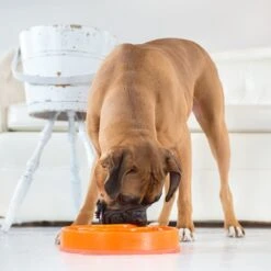 Outward Hound Slo Bowl Fun Feeder Voerbak - M - Oranje - Ø 28 Cm 24 Outward Hound Slo Bowl Fun Feeder Voerbak - M - Oranje - Ø 28 Cm -Dieren Product Winkel 1200x1200 2507