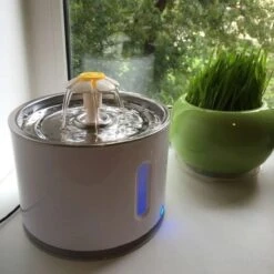 Merkloos Drinkfontein Voor Hond En Kat - RVS Waterbak - Dieren Drinkbak - Vers Water Fontein - Drinkfontein Katten- 3 Standen - 2.4 Liter - Incl. 1 Koolstoffilter 15 Merkloos Drinkfontein Voor Hond En Kat - RVS Waterbak - Dieren Drinkbak - Vers Water Fontein - Drinkfontein Katten- 3 Standen - 2.4 Liter - Incl. 1 Koolstoffilter -Dieren Product Winkel 1200x1200 254