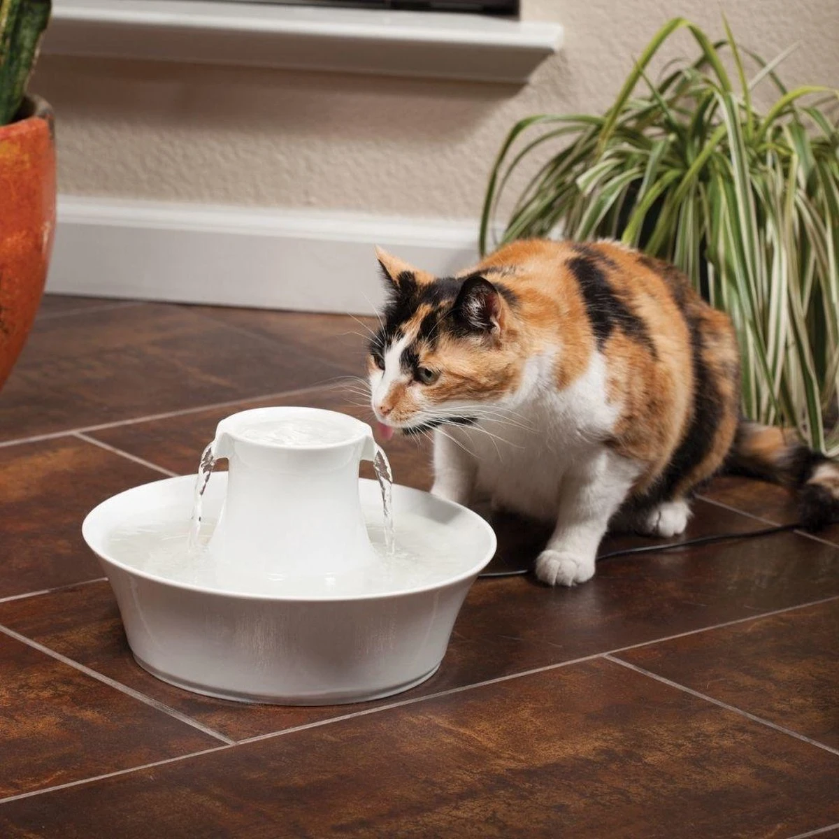 Petsafe Drinkwell Ceramic Avalon - Drinkfontein - 2 L 4 Petsafe Drinkwell Ceramic Avalon - Drinkfontein - 2 L - Afbeelding 4
