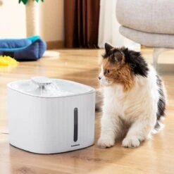 InnovaGoods - Drinkfontein Voor Kat En Hond - 3L - Inclusief Filterset - Fluisterstil - Dieren Drinkbakken - Waterdispenser