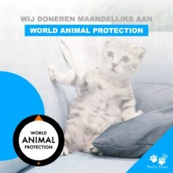 Pretty Paws PP097 Professionele Drink Fontein Kat - Poezen Fontein Met Filter - Waterfontein Kat - Katten Fontein - Dieren Drinkbak -Dieren Product Winkel 1200x1200 2650