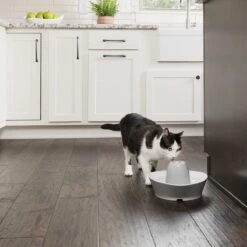 PetSafe® Streamside Ceramic Pet Fountain - Keramische Drinkfontein Voor Katten En Kleine Honden - Water Borrelt Zacht Over De Toren - Door Het Design Van Alle Kanten Bereikbaar - 1,8 Liter - PetSafe Streamside 14 PetSafe® Streamside Ceramic Pet Fountain - Keramische Drinkfontein Voor Katten En Kleine Honden - Water Borrelt Zacht Over De Toren - Door Het Design Van Alle Kanten Bereikbaar - 1,8 Liter - PetSafe Streamside -Dieren Product Winkel 1200x1200 267