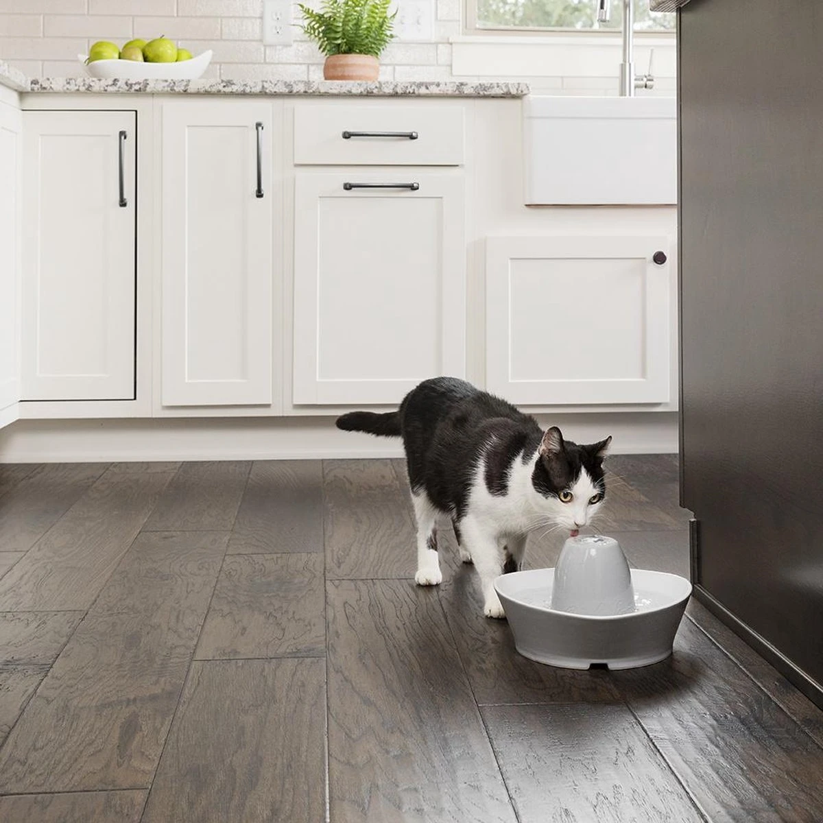 PetSafe® Streamside Ceramic Pet Fountain - Keramische Drinkfontein Voor Katten En Kleine Honden - Water Borrelt Zacht Over De Toren - Door Het Design Van Alle Kanten Bereikbaar - 1,8 Liter - PetSafe Streamside 6 PetSafe® Streamside Ceramic Pet Fountain - Keramische Drinkfontein Voor Katten En Kleine Honden - Water Borrelt Zacht Over De Toren - Door Het Design Van Alle Kanten Bereikbaar - 1,8 Liter - PetSafe Streamside - Afbeelding 6