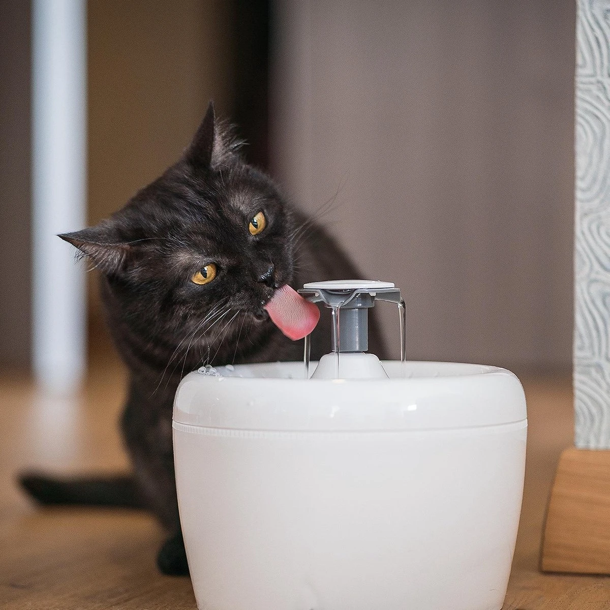 TrevoPet® Drinkfontein Kat - Waterfontein Kat - Kattenfontein - Fluisterstil - Drinkfontein - Drinkbak Kat - 2.5 Liter - Inclusief Filter - Wit 6 TrevoPet® Drinkfontein Kat - Waterfontein Kat - Kattenfontein - Fluisterstil - Drinkfontein - Drinkbak Kat - 2.5 Liter - Inclusief Filter - Wit - Afbeelding 6
