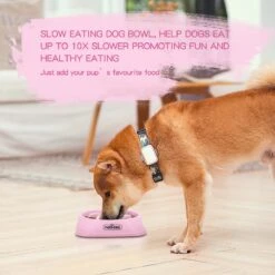 Nobleza H8P - Anti Schrok Voerbak - 20x20x4.5cm - Roze -Dieren Product Winkel 1200x1200 2735