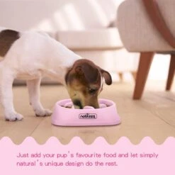 Nobleza H8P - Anti Schrok Voerbak - 20x20x4.5cm - Roze -Dieren Product Winkel 1200x1200 2736