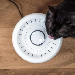 TrevoPet® Drinkfontein Kat - Waterfontein Kat - Kattenfontein - Fluisterstil - Drinkfontein - Drinkbak Kat - 2.5 Liter - Inclusief Filter - Wit 16 TrevoPet® Drinkfontein Kat - Waterfontein Kat - Kattenfontein - Fluisterstil - Drinkfontein - Drinkbak Kat - 2.5 Liter - Inclusief Filter - Wit -Dieren Product Winkel 1200x1200 274