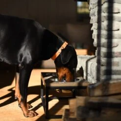 Lord Lou Honden Voerbak - Dubbele Eetbak - Roma S 33x17x8 -Dieren Product Winkel 1200x1200 2747