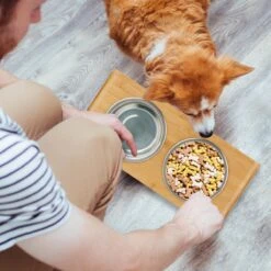 Relaxdays Voerbak Hond Met Standaard - Dubbel - Hondenvoerbak - 2 Eetbakken - Verhoogd -Dieren Product Winkel 1200x1200 2752