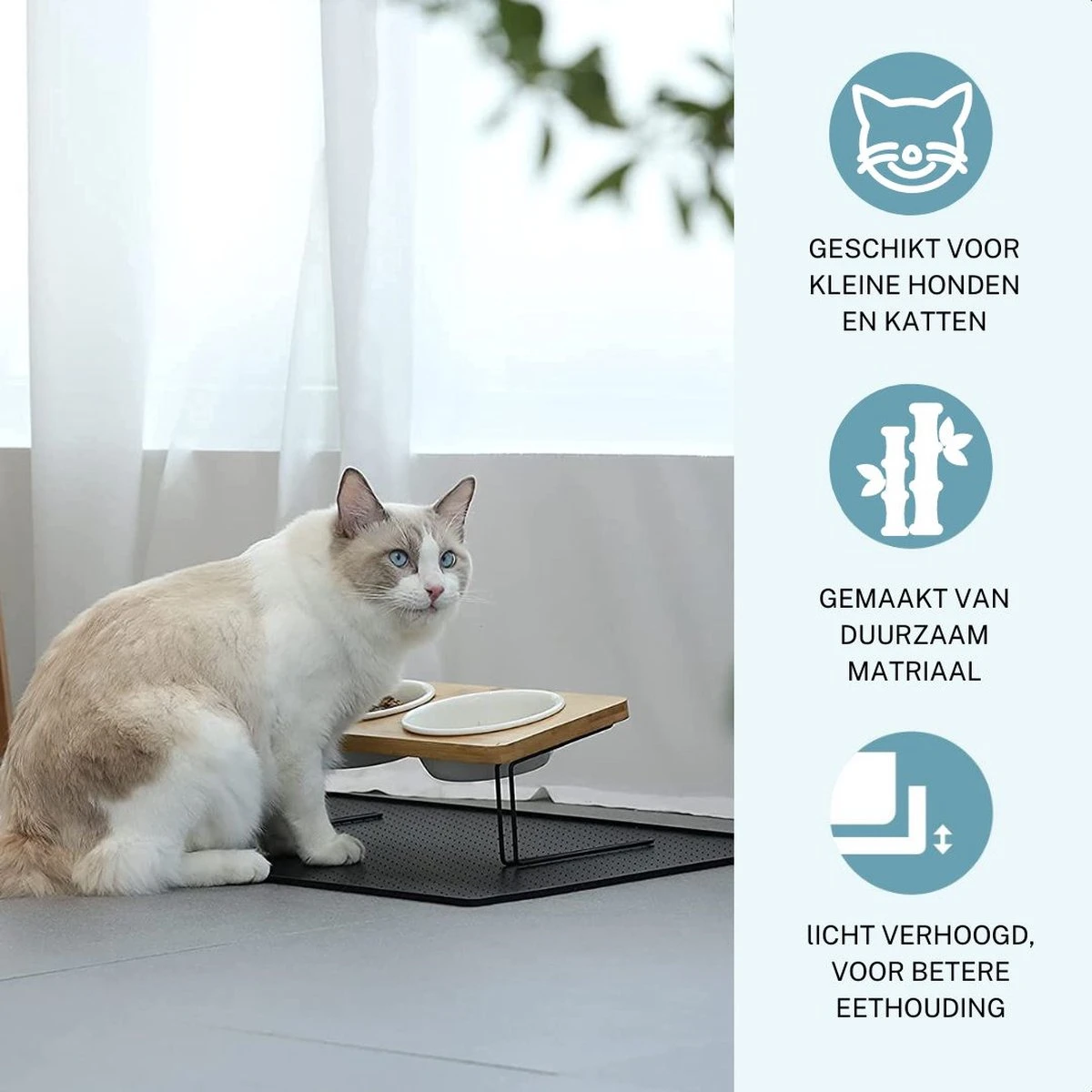 Verhoogde Bamboe Katten Voerbak – Voerbak Kat Keramiek – Drinkbak Hond – Eetbak Met Standaard – 350ml 2 Verhoogde Bamboe Katten Voerbak – Voerbak Kat Keramiek – Drinkbak Hond – Eetbak Met Standaard – 350ml - Afbeelding 2