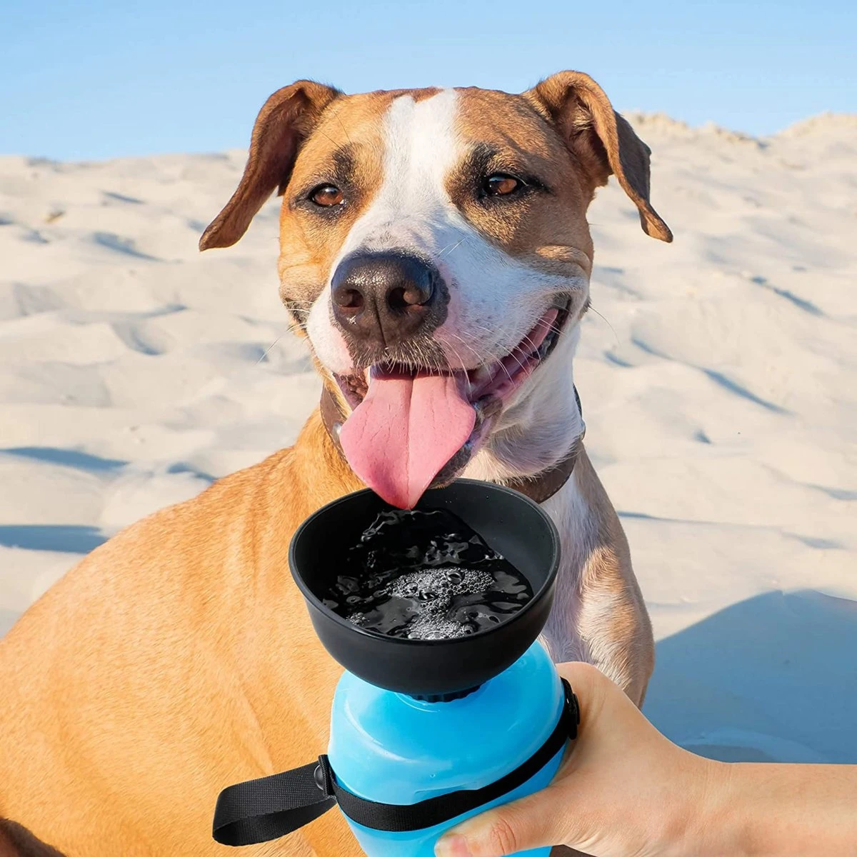 VEDIC® - Honden Drinkfles Blauw - Lekvrije Waterfles - Bidon - BPA Vrij - Voor Onderweg - 520ML 7 VEDIC® - Honden Drinkfles Blauw - Lekvrije Waterfles - Bidon - BPA Vrij - Voor Onderweg - 520ML - Afbeelding 7