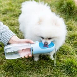 Nobleza 43B4C - Honden Waterfles - 500ml - Honden Bidon - Honden Drinkfles - Blauw -Dieren Product Winkel 1200x1200 2814