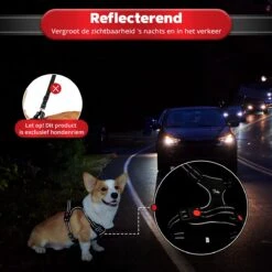 Purrr Fect Hondentuigje - Anti-Trek Tuig - Hondenharnas - Y Tuig Hond - Waterproof - Reflecterend - Verstelbaar - Maat M -Dieren Product Winkel 1200x1200 2817
