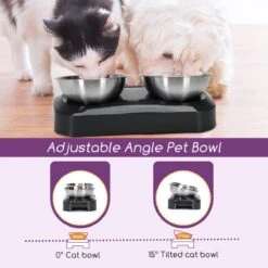 Nobleza Katten Voerbakjes - Ergonomische Dubbele Voerbak - Anti Braak Voerbak Voor Katten - Zwart - Dubbel - RVS 15 Nobleza Katten Voerbakjes - Ergonomische Dubbele Voerbak - Anti Braak Voerbak Voor Katten - Zwart - Dubbel - RVS -Dieren Product Winkel 1200x1200 282