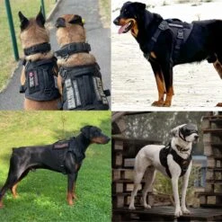 Always Prepared © Pro K9 Hondentuig - Anti Trek - Y Tuig - Middel En Grote Hond - Veiligheidstuig -Dieren Product Winkel 1200x1200 2821