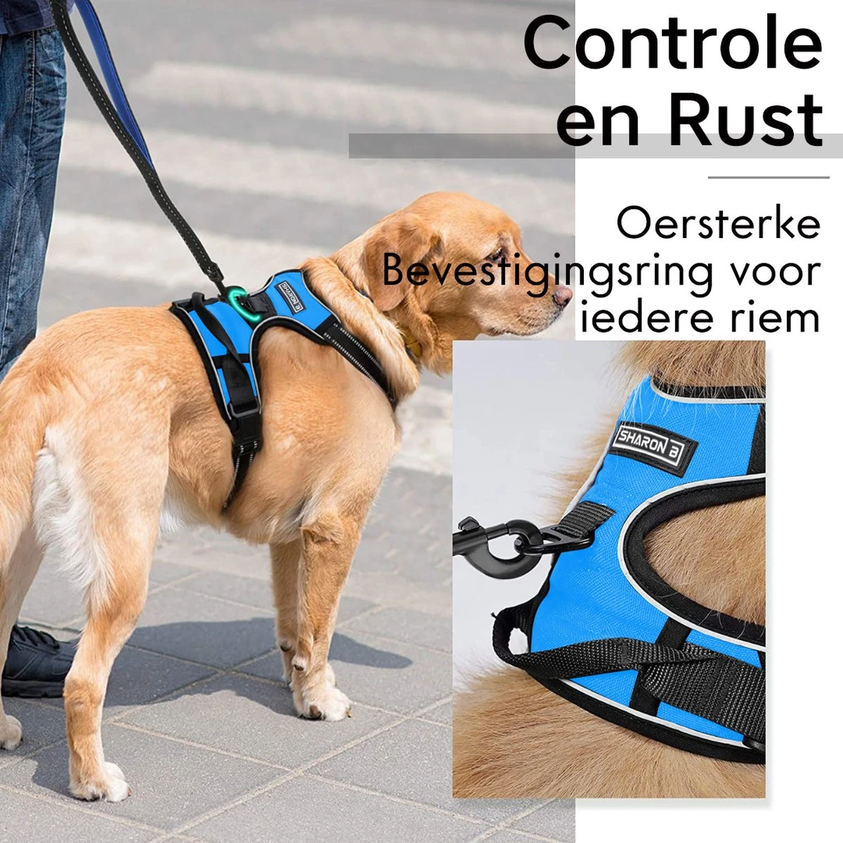 Sharon B - Hondentuigje - Voor Middelgrote Honden - Blauw - Maat M - No Pull Harnas - Anti Trek - Reflecterend - Hoeft Niet Over Het Hoofd Aangetrokken Te Worden 3 Sharon B - Hondentuigje - Voor Middelgrote Honden - Blauw - Maat M - No Pull Harnas - Anti Trek - Reflecterend - Hoeft Niet Over Het Hoofd Aangetrokken Te Worden - Afbeelding 3