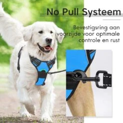 Sharon B - Hondentuigje - Voor Middelgrote Honden - Blauw - Maat M - No Pull Harnas - Anti Trek - Reflecterend - Hoeft Niet Over Het Hoofd Aangetrokken Te Worden 13 Sharon B - Hondentuigje - Voor Middelgrote Honden - Blauw - Maat M - No Pull Harnas - Anti Trek - Reflecterend - Hoeft Niet Over Het Hoofd Aangetrokken Te Worden -Dieren Product Winkel 1200x1200 2827