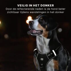 Hondentuigje - Anti-Trek Tuig - Hondenharnas - Y Tuig Hond - Reflecterend - Zwart - Maat M 11 Hondentuigje - Anti-Trek Tuig - Hondenharnas - Y Tuig Hond - Reflecterend - Zwart - Maat M -Dieren Product Winkel 1200x1200 2835
