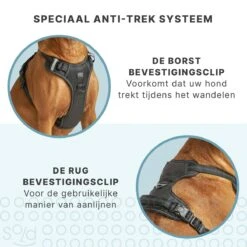 Hondentuigje - Anti-Trek Tuig - Hondenharnas - Y Tuig Hond - Reflecterend - Zwart - Maat M 12 Hondentuigje - Anti-Trek Tuig - Hondenharnas - Y Tuig Hond - Reflecterend - Zwart - Maat M -Dieren Product Winkel 1200x1200 2836