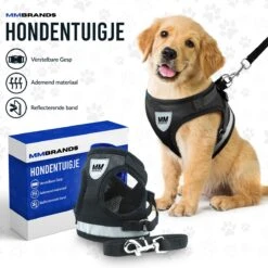MM Brands Hondentuig - Harnas Hond - Y Tuig - Reflectie - Small - Zwart 15 MM Brands Hondentuig - Harnas Hond - Y Tuig - Reflectie - Small - Zwart -Dieren Product Winkel 1200x1200 2846