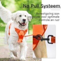 Sharon B - Hondentuigje - Voor Middelgrote Honden - Oranje - Maat M - No Pull - Anti Trek - Reflecterend - Hoeft Niet Over Het Hoofd Aangetrokken Te Worden -Dieren Product Winkel 1200x1200 2854