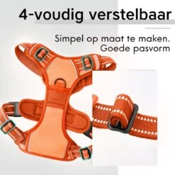 Sharon B - Hondentuigje - Voor Middelgrote Honden - Oranje - Maat M - No Pull - Anti Trek - Reflecterend - Hoeft Niet Over Het Hoofd Aangetrokken Te Worden -Dieren Product Winkel 1200x1200 2856