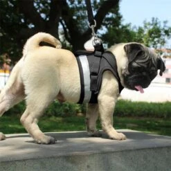 Hondentuig, Hondenharnas Met Hondenriem – Reflecterend - Zwart – Maat S (borst 30-35 Cm) -Dieren Product Winkel 1200x1200 2860