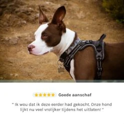 Hondentuigje Medium – Hondenharnas - Anti Trek Tuig Hond – Y Tuig – Reflecterend – Zwart – Maat M -Dieren Product Winkel 1200x1200 2866