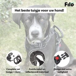 Filo Anti Trek Hondentuig S Met Hondenriem - Y Tuig Hond Verstelbaar - Hondentuigje Kleine Hond + Hondenlijn - Easy Walk Hondenharnas - Hondentuigjes - Leiband - Honden Tuigje - Puppy - Tuig - Hond -Dieren Product Winkel 1200x1200 2871