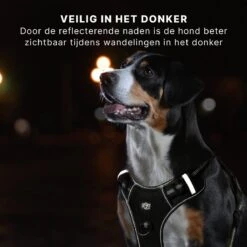 Hondentuigje - Anti-Trek Tuig - Hondenharnas - Y Tuig Hond - Reflecterend - Zwart - Maat XL -Dieren Product Winkel 1200x1200 2875
