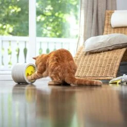 BeOneBreed Intellikatt - Slowfeeder Voor Katten - Voerpuzzel Aanbevolen Door Dierenartsen En Kattengedragsdeskundigen -Dieren Product Winkel 1200x1200 289