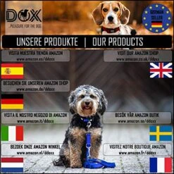DDOXX Borstharnas Air Mesh, Step-In, Reflecterend | Vele Kleuren | Voor Kleine, Middelgrote En Middelgrote Honden | Hondenharnas Hond Kat Puppy | Kattenharnas Puppy Harnas | Zwart, M -Dieren Product Winkel 1200x1200 2897