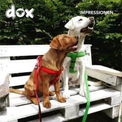 DDOXX Hondenharnas Nylon, Step-In, Verstelbaar, Uitbraakbestendig | Voor Kleine, Middelgrote & Grote Honden | Borstharnas Hond Kat Puppy Auto | Puppy Harnas Kat Harnas | Rood, S -Dieren Product Winkel 1200x1200 2898