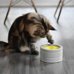 BeOneBreed Intellikatt - Slowfeeder Voor Katten - Voerpuzzel Aanbevolen Door Dierenartsen En Kattengedragsdeskundigen -Dieren Product Winkel 1200x1200 290