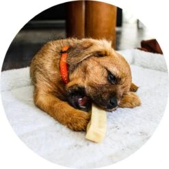 RENSKE | Renske Chhurpi Kauwkluif 10 RENSKE | Renske Chhurpi Kauwkluif -Dieren Product Winkel 1200x1200 2909